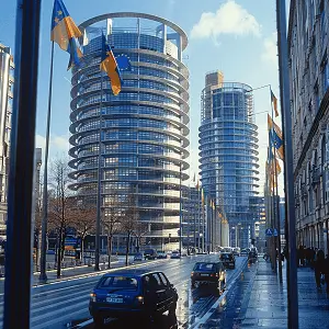 秋季旅游森林穿搭